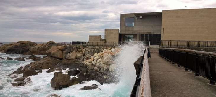 El Aquarium Finisterrae De La Coruña: Abre Sus Puertas A Los Secretos Del Mar